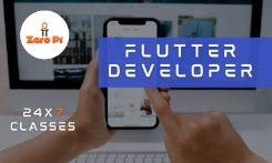 Google Flutter Developer